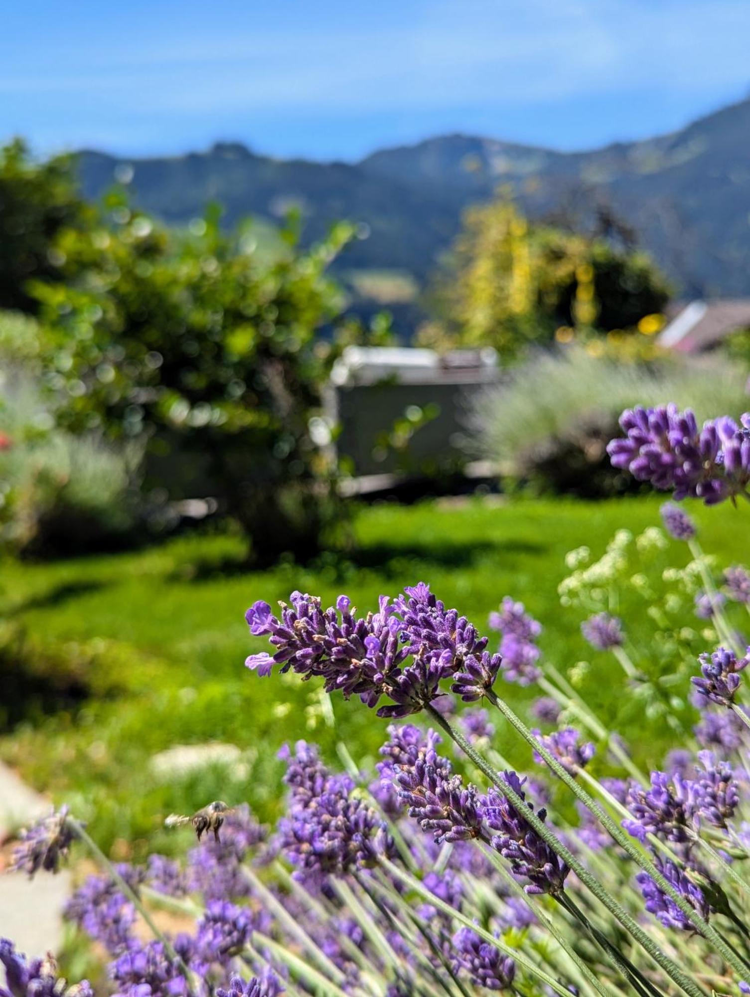Swiss Mountain-Valley View Lodge Erlenbach im Simmental 외부 사진