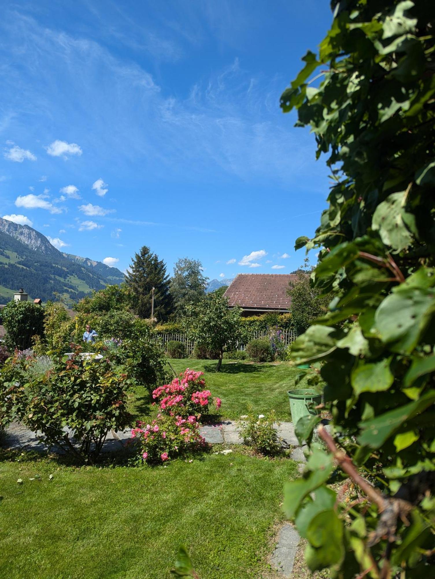 Swiss Mountain-Valley View Lodge Erlenbach im Simmental 외부 사진