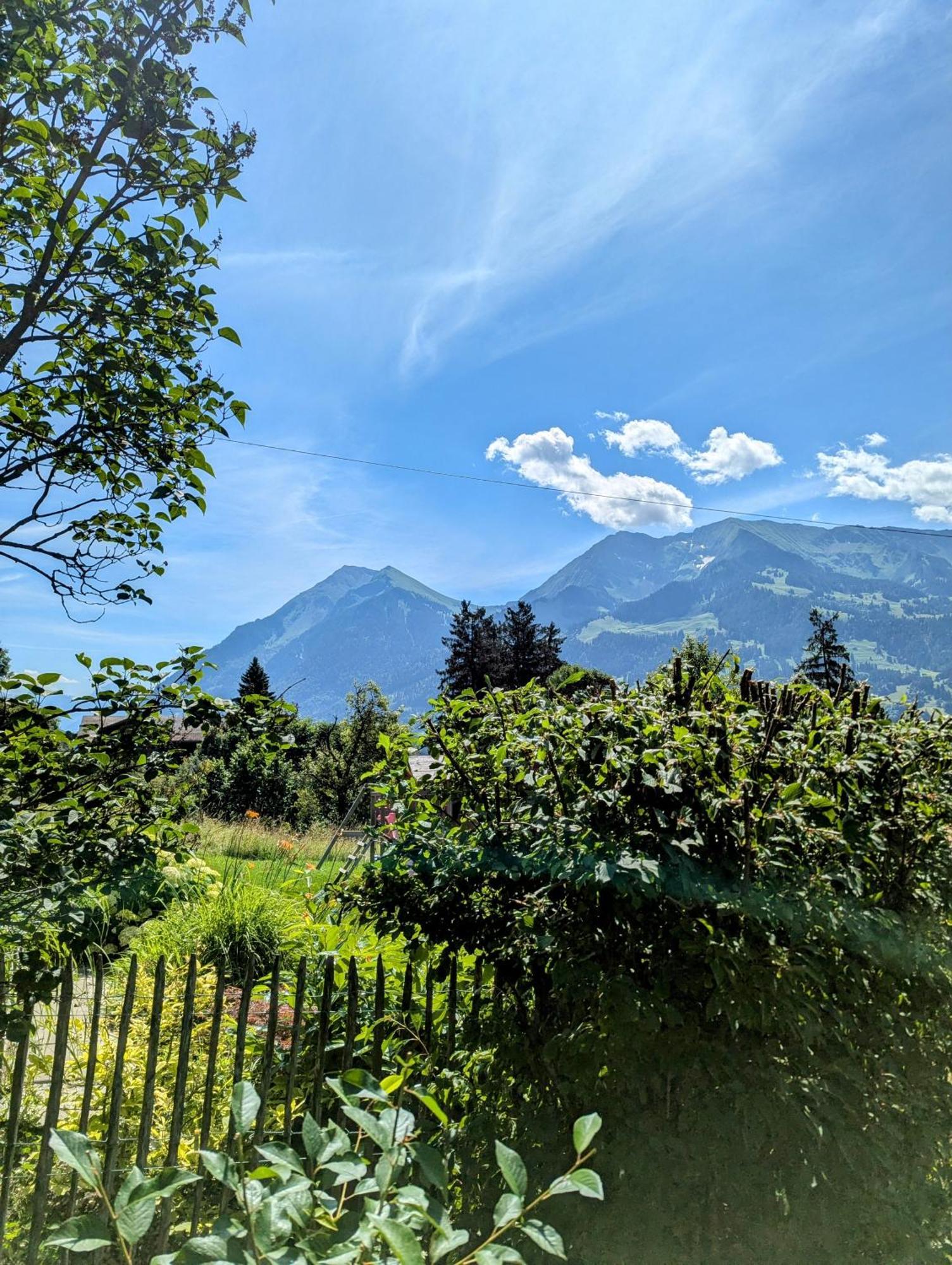 Swiss Mountain-Valley View Lodge Erlenbach im Simmental 외부 사진