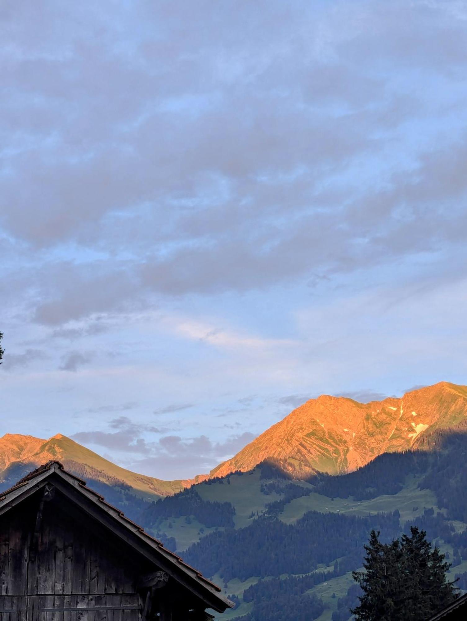 Swiss Mountain-Valley View Lodge Erlenbach im Simmental 외부 사진