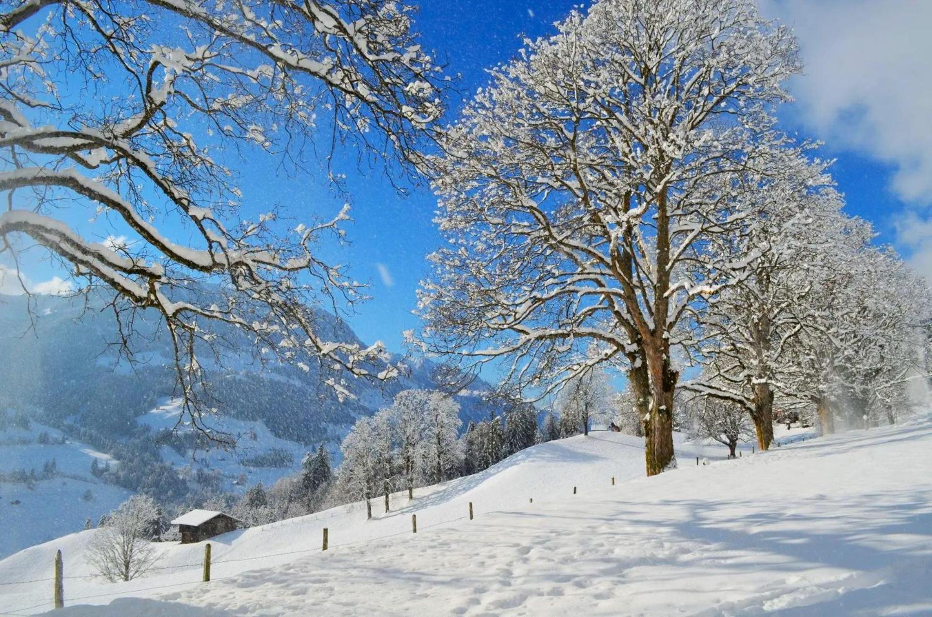 Swiss Mountain-Valley View Lodge Erlenbach im Simmental 외부 사진