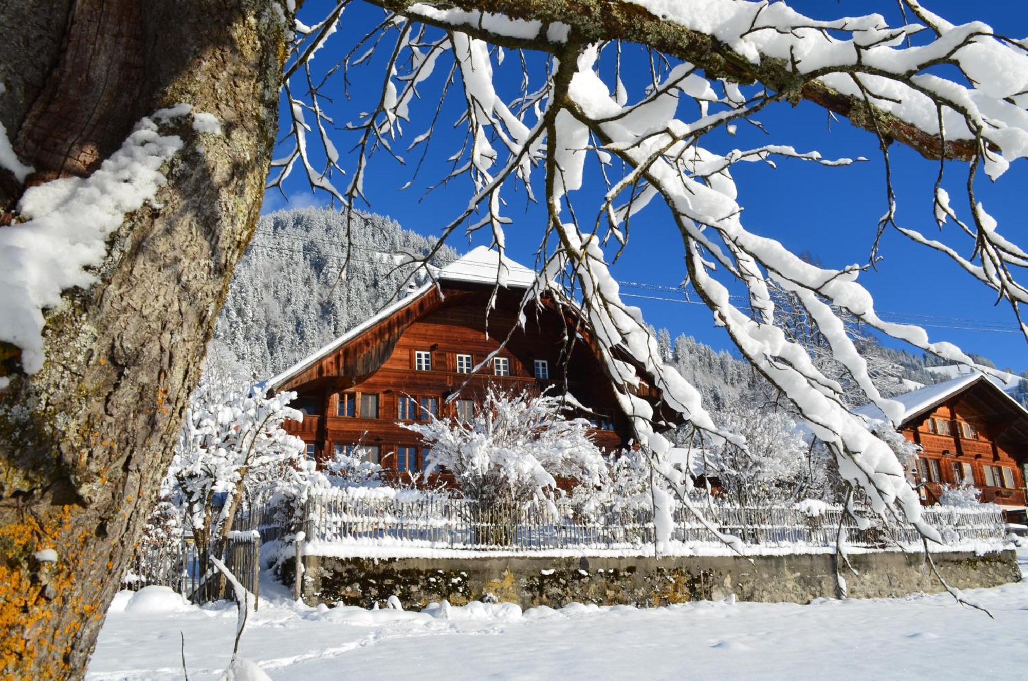 Swiss Mountain-Valley View Lodge Erlenbach im Simmental 외부 사진